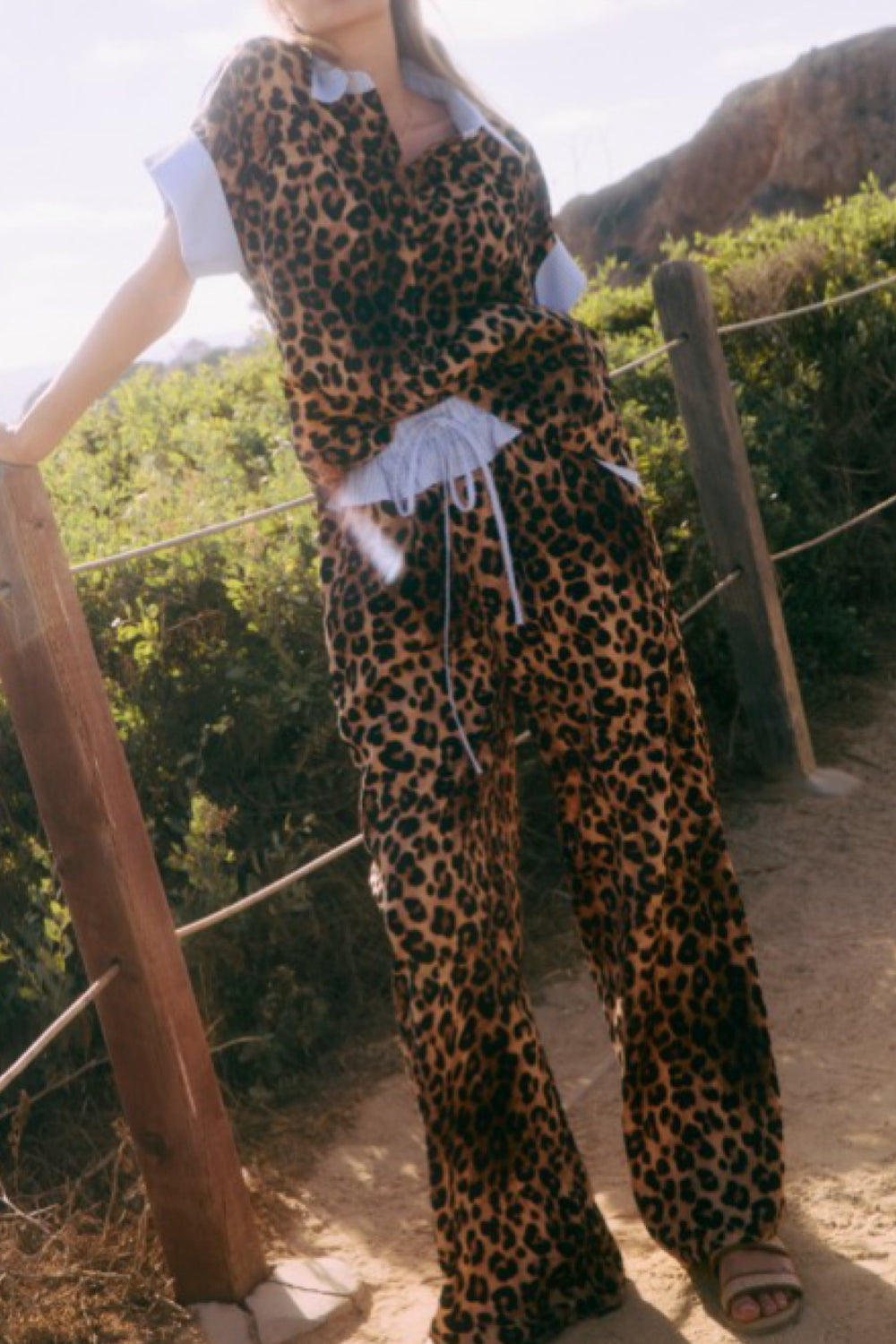 Animal
