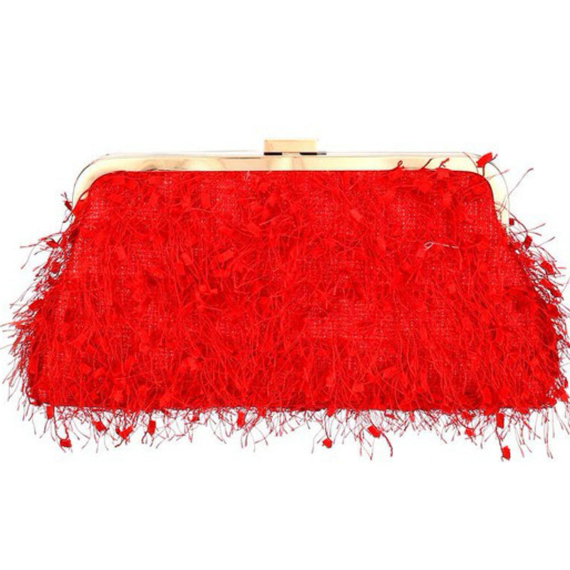 FANCY FRINGE CLUTCH