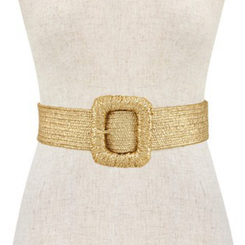 PLUS METALLIC ELASTIC BELT