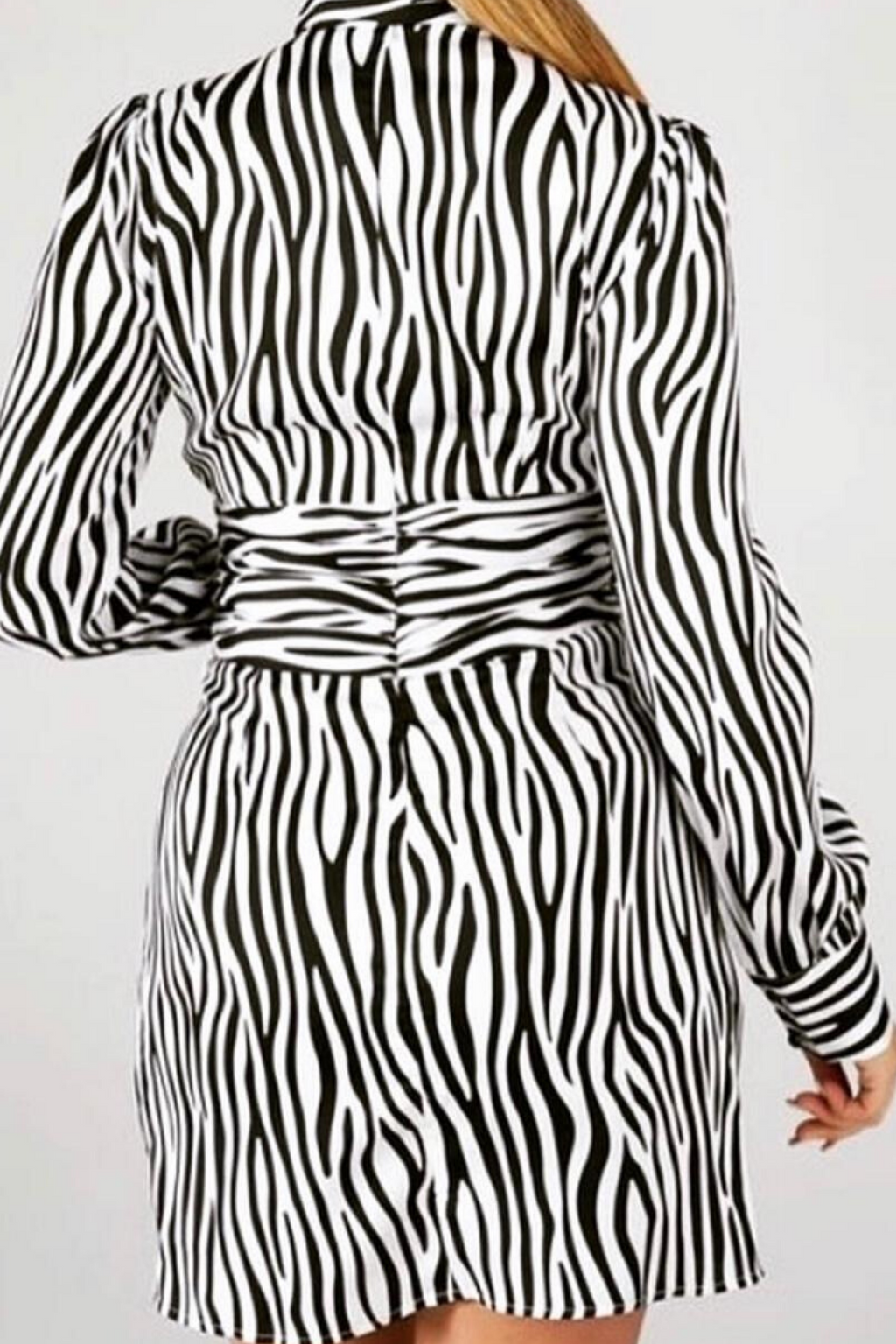 ZEBRA PRINT MINI DRESS